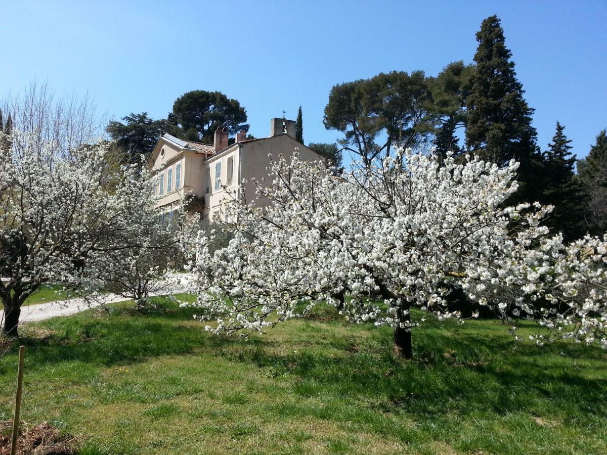 La Royante Panzió Aubagne Kültér fotó