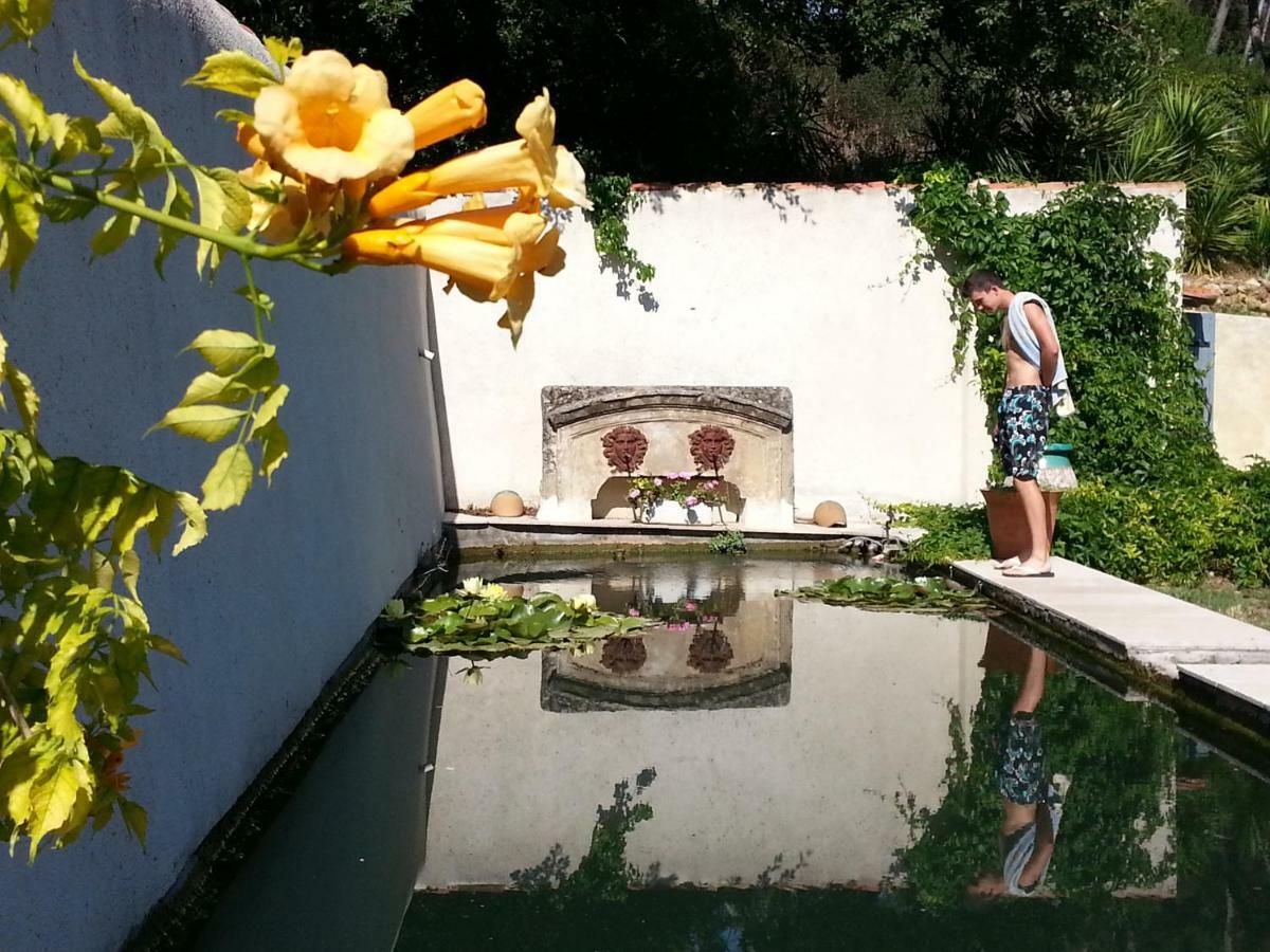 La Royante Panzió Aubagne Kültér fotó